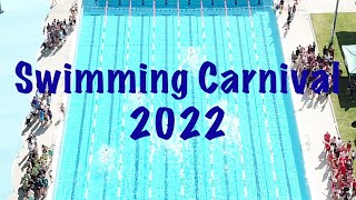 Stannies Swimming Carnival 2022 [upl. by Hilton]