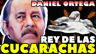 DICTADORES EN CAÍDA LIBRE HACIA EL ABISMO  NOTICIAS DE NICARAGUA HOY [upl. by Opal]