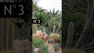 10 Idées de Jardin EXOTIQUE 🌴😍 [upl. by Ymmat]