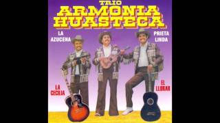 Trio Armonia Huasteca  12 Grandes Exitos Disco Completo [upl. by Eiramesor776]