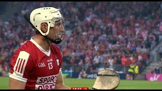 LAST MINUTE  CELEBRATIONS  CORK V LIMERICK  2024 MUNSTER HURLING CHAMPIONSHIP [upl. by Man486]