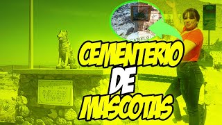 CEMENTERIO DE MASCOTAS EN CIUDAD JUAREZ CHIH [upl. by Mainis]