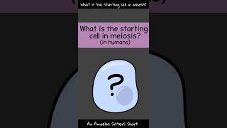 Starting Cell in Meiosis  Amoeba Sisters Shorts [upl. by Ha]