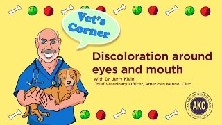 Discoloration around Eyes and Mouth  Vets Corner with Dr Jerry Klein [upl. by Karna711]