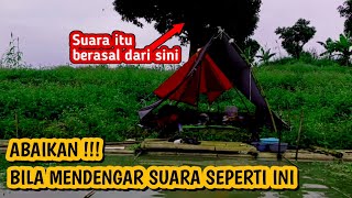 Camp fishing 4  Merinding Jika mendengar suara seperti ini di spot mancing liar abaikan saja [upl. by Grodin]