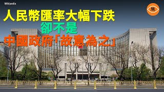 人民幣匯率大幅下跌卻不是中國政府的「故意為之」 [upl. by Jud]