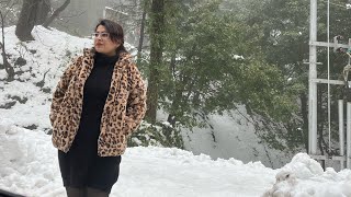 First Snowfall of 2024  Dalhousie Trip [upl. by Enylorac196]