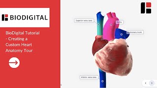 BioDigital Tutorial  Creating a Custom Heart Anatomy Tour [upl. by Pomfret]