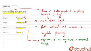 Phytochrome is involved in [upl. by Yelyak]