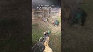 SQUAD WIPE Like shooting fish in a barrel feralhogs wildboar hoghunt extream sidebyside [upl. by Ocirederf364]