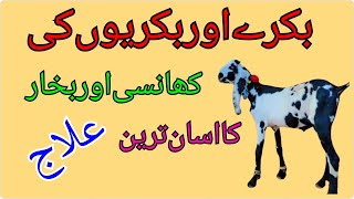 Bakri ki  Khansi Orr Nazly  Ka Ilaj  Treatment Goat  Ahmadali Goat Farm Goat farming [upl. by Olsson371]