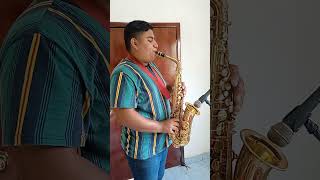 Actos De Un Tonto Conjunto Primavera cover en saxofón saxofón saxofonista coversensaxofón [upl. by Ahtabbat]