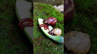 Snails and millipedes eating cucumbers😰😨millipede snail scary shorts [upl. by Neenahs184]