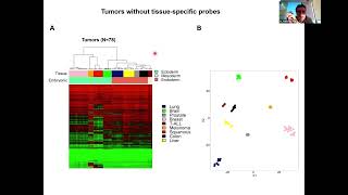 Introduction to Mouse DNA Methylation Microarrays – Manel Esteller [upl. by Natanoj371]