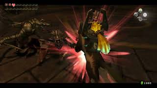 The Legend of Zelda Twilight Princess HD The Cave of Shadows 2 [upl. by Eseuqcaj]