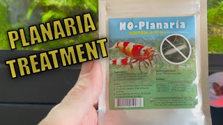 PLANARIA WORMS IN AQUARIUM  NOPlanaria WORKS [upl. by Duky]