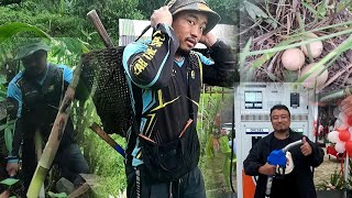 Life as a modern farmer and a content creator in Nagaland [upl. by Anitnauq]