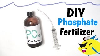 How To Make DIY Aquarium Plant Fertilizer Phosphate [upl. by Akcired662]