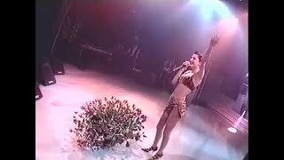 Ceca  Beograd  LIVE  Pionir 1995 [upl. by Alaekim]