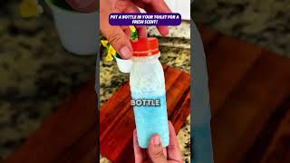 Bathroom Smell Solution with One Bottle bathroomhacks freshhometips diycleaning [upl. by Caressa]