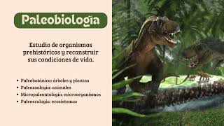 ¿Qué es la paleontología [upl. by Meeka686]