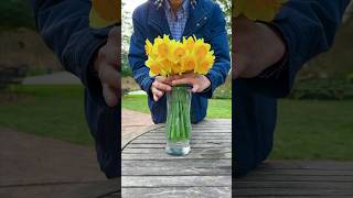 Easy Daffodil Flower Arrangement [upl. by Lole806]