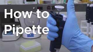 How to Micropipette  miniPCR bio™ [upl. by Jose706]