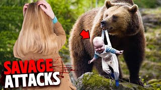 The Most SAVAGE Bear Attacks MARATHON [upl. by Eldred871]