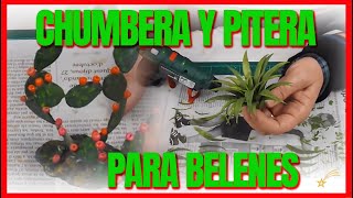 🌵🎍 Chumbera nopal y pitera ágave para los belenes [upl. by Oman7]