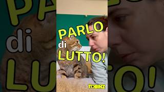 PARLO di LUTTO [upl. by Dinan]