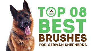 Best Brushes for German Shepherds [upl. by Eceela]