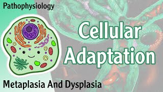 Pathophysiology  Cellular Adaptation  Metaplasia Dysplasia  Hani Laith شرح [upl. by Irehs631]