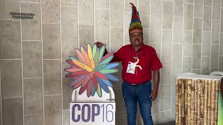 Programa Barrera Forestal del Amazonas en la COP16 [upl. by Ltsyrk]