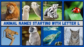 quot30 Awesome Animals Starting with L  Fun Animal Names for Kids  LION  LEOPARD  LITTLE PENGUINquot [upl. by Corron]