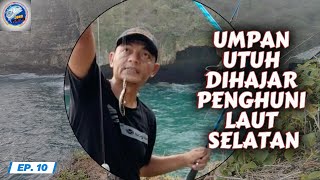 UMPAN UTUH DIHAJAR PENGHUNI LAUT SELATAN mancingmania rockfishing mancing fishing jokoplatAB [upl. by Aryamoy]