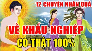 12 Chuyện Nhân Quả Phật Giáo Về Khẩu Nghiệp Miệng Lưỡi Thế Gian Còn Độc Hơn Cả Loài Rắn Truyện Đêm [upl. by Enobe642]