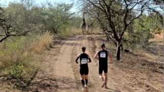 The Big Five Marathon  Trailer [upl. by Ahsienat]