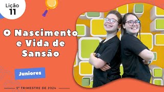 O Nascimento e Vida de Sansão  História Bíblica  Infantil [upl. by Graham701]