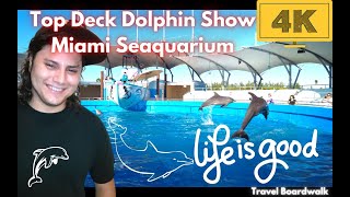 4K Miami Seaquarium  Top Deck Dolphin Show  Miami Florida [upl. by Acinod126]