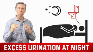 How to Fix Frequent Urination at Night Nocturia – Dr Berg [upl. by Ididn]