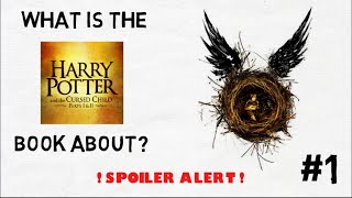 Harry Potter and the Cursed Child  plot explained  Part 1 [upl. by Quillan]