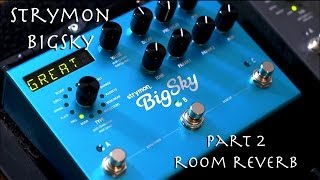 Strymon BigSky Pt1  Room Reverb [upl. by Natek982]