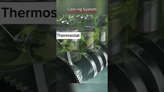 Cooling System Of Engine engine trending shorts [upl. by Nhor551]