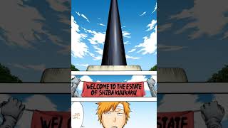 The Power of the Shiba Clan kitty bleach ichigo isshin tybw anime aizen [upl. by Friedly]