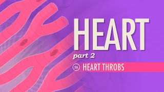 The Heart Part 2  Heart Throbs Crash Course Anatomy amp Physiology 26 [upl. by Lucio]