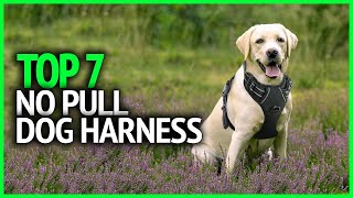 Best No Pull Dog Harness 2024  Top 7 No Pull Dog Harness Review [upl. by Celesta]