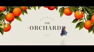 THE ORCHARDS Baulkham Hills [upl. by Nemajneb698]