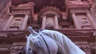 Jordanian Royal horses [upl. by Daraj]