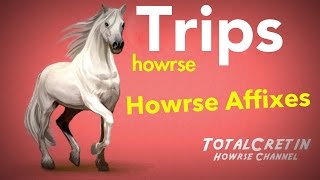 Affixes  Howrse Trips [upl. by Brier579]