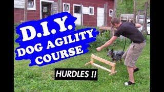 BUILT OUR OWN DOG AGILITY COURSE  AUSTRALIAN CATTLE DOG [upl. by Farland]